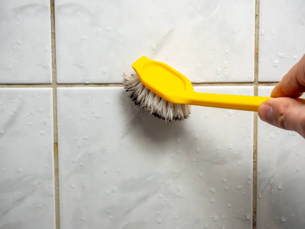 Trusted Harleigh, PA Mold Removal Experts