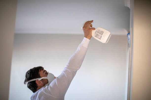 Best Mold Damage Repair  in Harleigh, PA