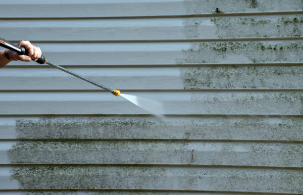 Best Certified Mold Removal  in Harleigh, PA