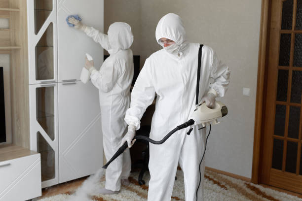 Best Black Mold Removal  in Harleigh, PA