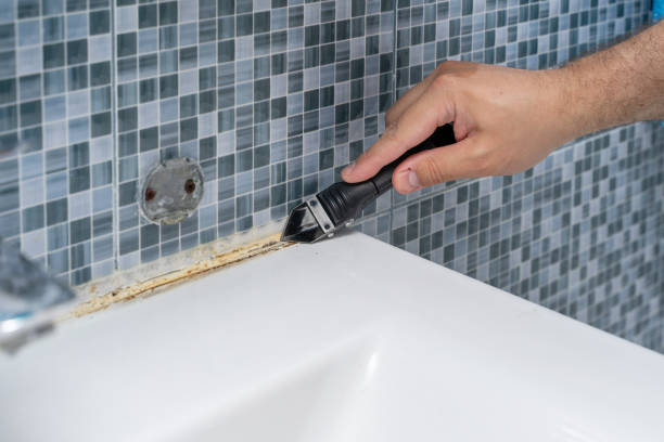Best Mold Removal Specialists  in Harleigh, PA